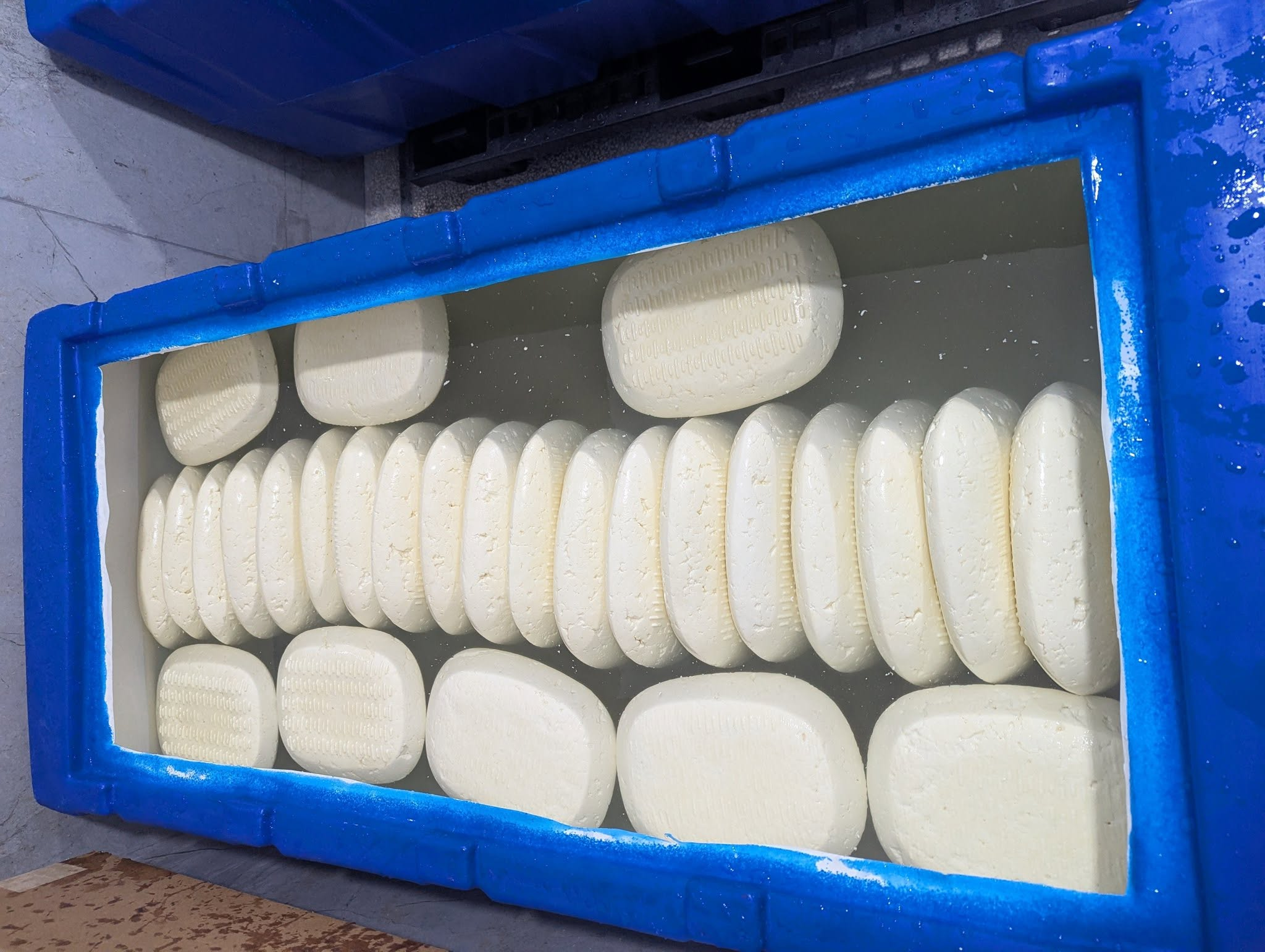 სტატია Natur Milk-ის ოჯახზე